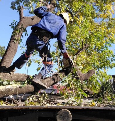 301220633_485023460295200_6054702797266725953_n