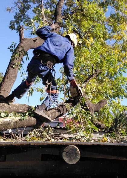 301220633_485023460295200_6054702797266725953_n