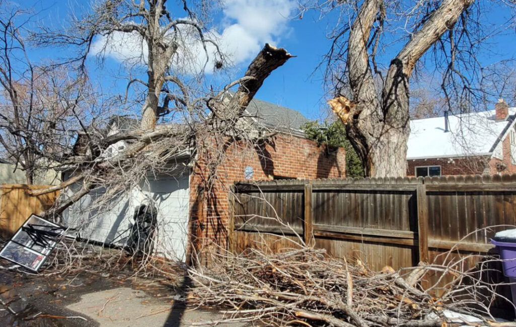 tree-emergencies-1080x675